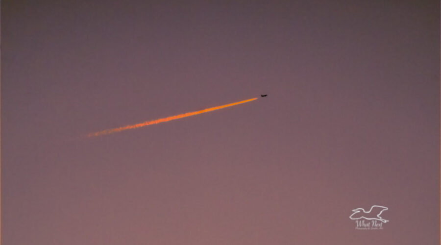 The trail from a large jet airliner lights up an orangish red in the evening sunset, making it look as though the plane is trailing fire.