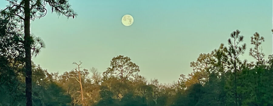 January 2025’s full moon is in the process of setting as the morning sun rises.