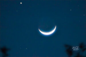 A sliver of a moon glows above the trees on a winter’s evening.