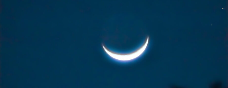 A sliver of a moon glows above the trees on a winter’s evening.