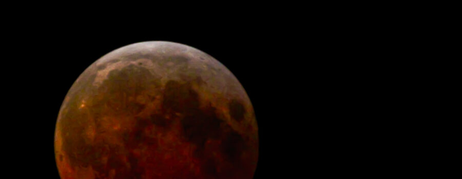 The blood moon lunar eclipse happened on a perfect, almost cloud free night in central Florida.