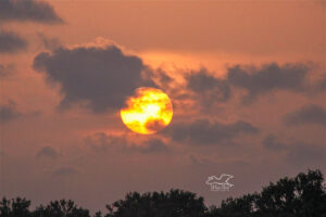 The sun begins to set over the water surrounding Cedar Key, Florida