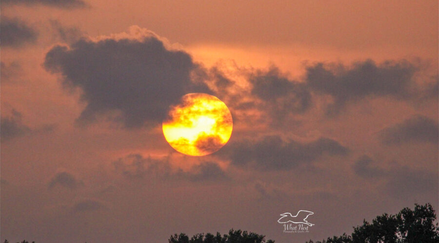 The sun begins to set over the water surrounding Cedar Key, Florida