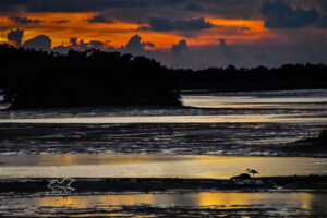 A beautiful sunset is shared with a heron on the #4 bridge in Cedar Key, Florida.