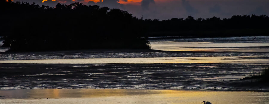 A beautiful sunset is shared with a heron on the #4 bridge in Cedar Key, Florida.