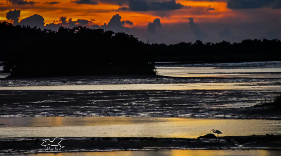 A beautiful sunset is shared with a heron on the #4 bridge in Cedar Key, Florida.