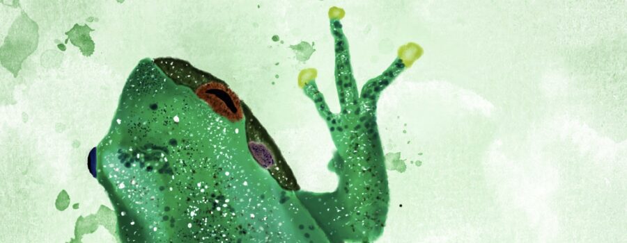 A green squirrel tree frog has been painted as seen from above.