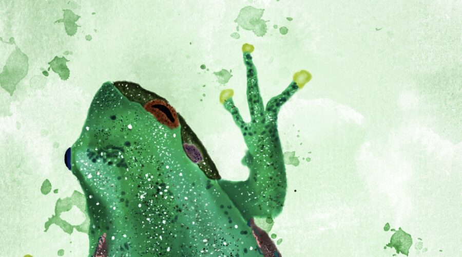A green squirrel tree frog has been painted as seen from above.