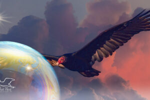 A turkey vulture soars among the clouds and stars in this fantasy artwork.