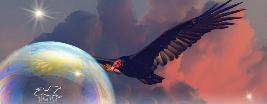 A turkey vulture soars among the clouds and stars in this fantasy artwork.