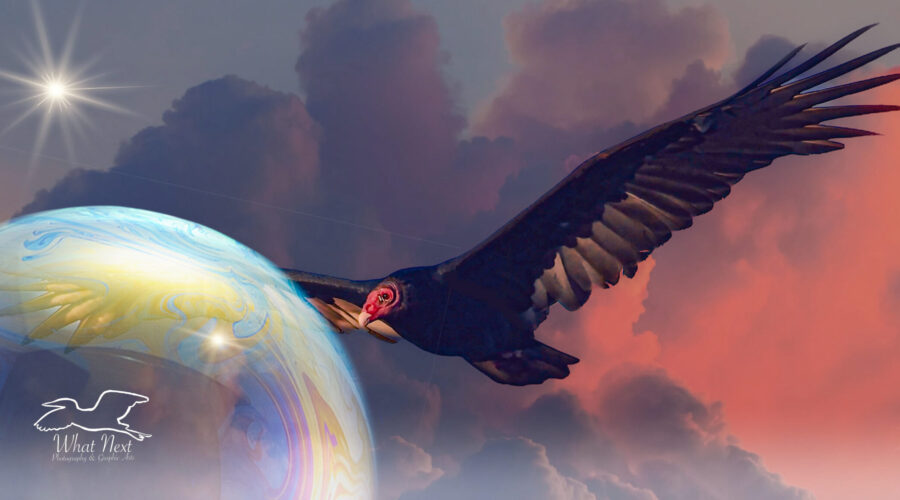 A turkey vulture soars among the clouds and stars in this fantasy artwork.