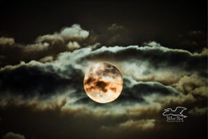 The full moon in November 2025 occurred on a cloudy night in central Florida. The clouds actually helped to increase the beauty of the moon and the evening.