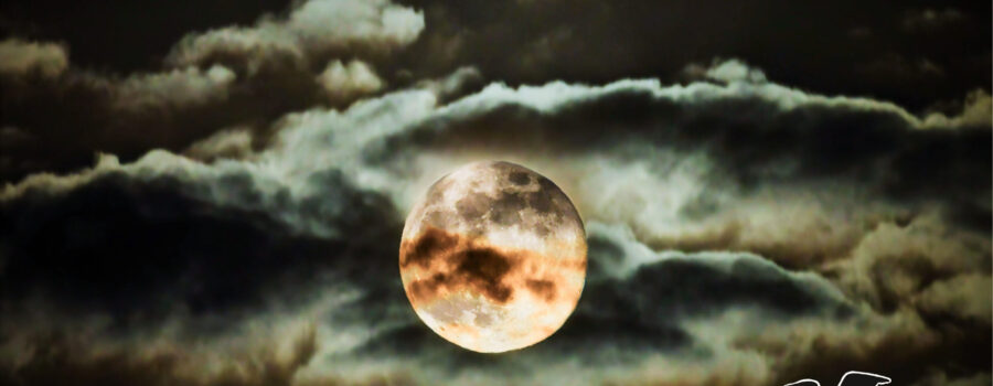 The full moon in November 2025 occurred on a cloudy night in central Florida. The clouds actually helped to increase the beauty of the moon and the evening.