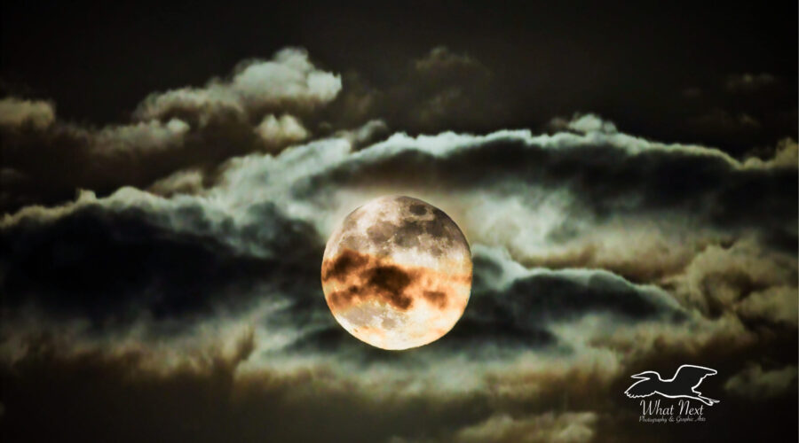 The full moon in November 2025 occurred on a cloudy night in central Florida. The clouds actually helped to increase the beauty of the moon and the evening.