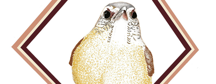 An artist’s rendering of a Carolina wren is framed in a diamond shape.