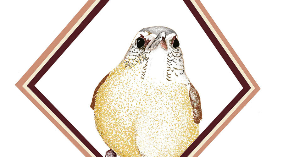 An artist’s rendering of a Carolina wren is framed in a diamond shape.