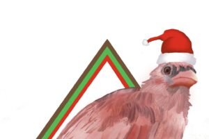 A young cardinal poses in a diamond shaped frame wearing a Santa hat.