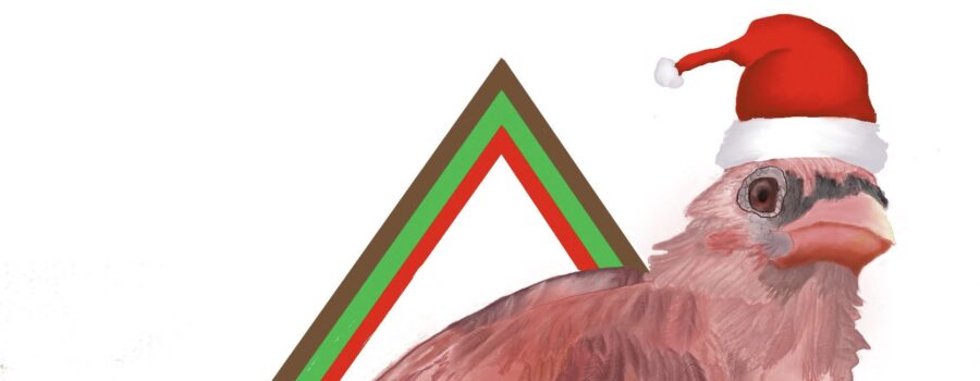 A young cardinal poses in a diamond shaped frame wearing a Santa hat.