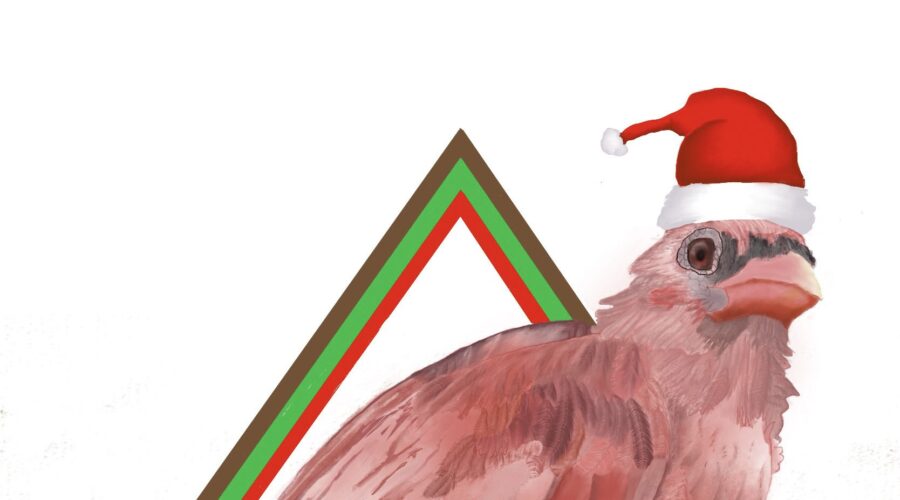 A young cardinal poses in a diamond shaped frame wearing a Santa hat.