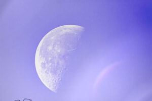 The late afternoon half moon is slightly hidden in a light mist that creates some interesting visual effects.