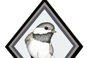 A pen and ink drawing depicts a Carolina Chickadee posed inside a black and grey frame.