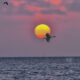A Colorful Sunrise with Beautiful Birds is a Wonderful Thing