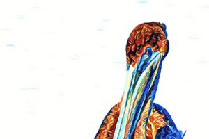 A brown pelican glides gracefully through the water on a sunny day.