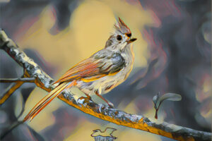 A pretty little tufted titmouse is shown perched on a branch. The photo has been processed in a painterly style.