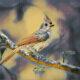 The Tufted Titmouse is a Beautiful Bird Well Suited for Art